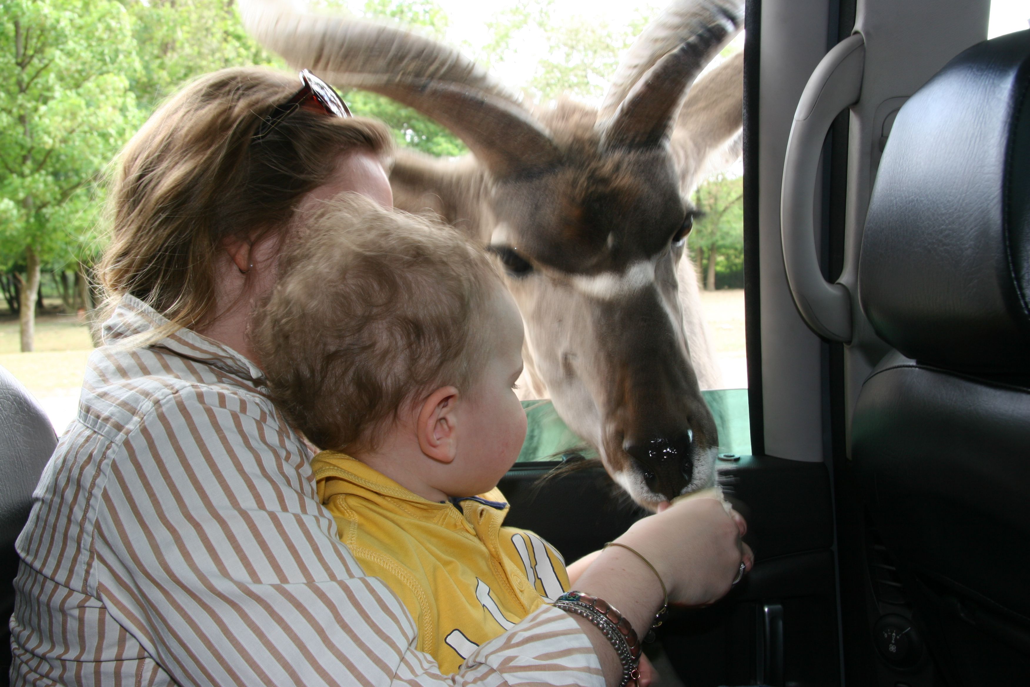 safari park in tuari