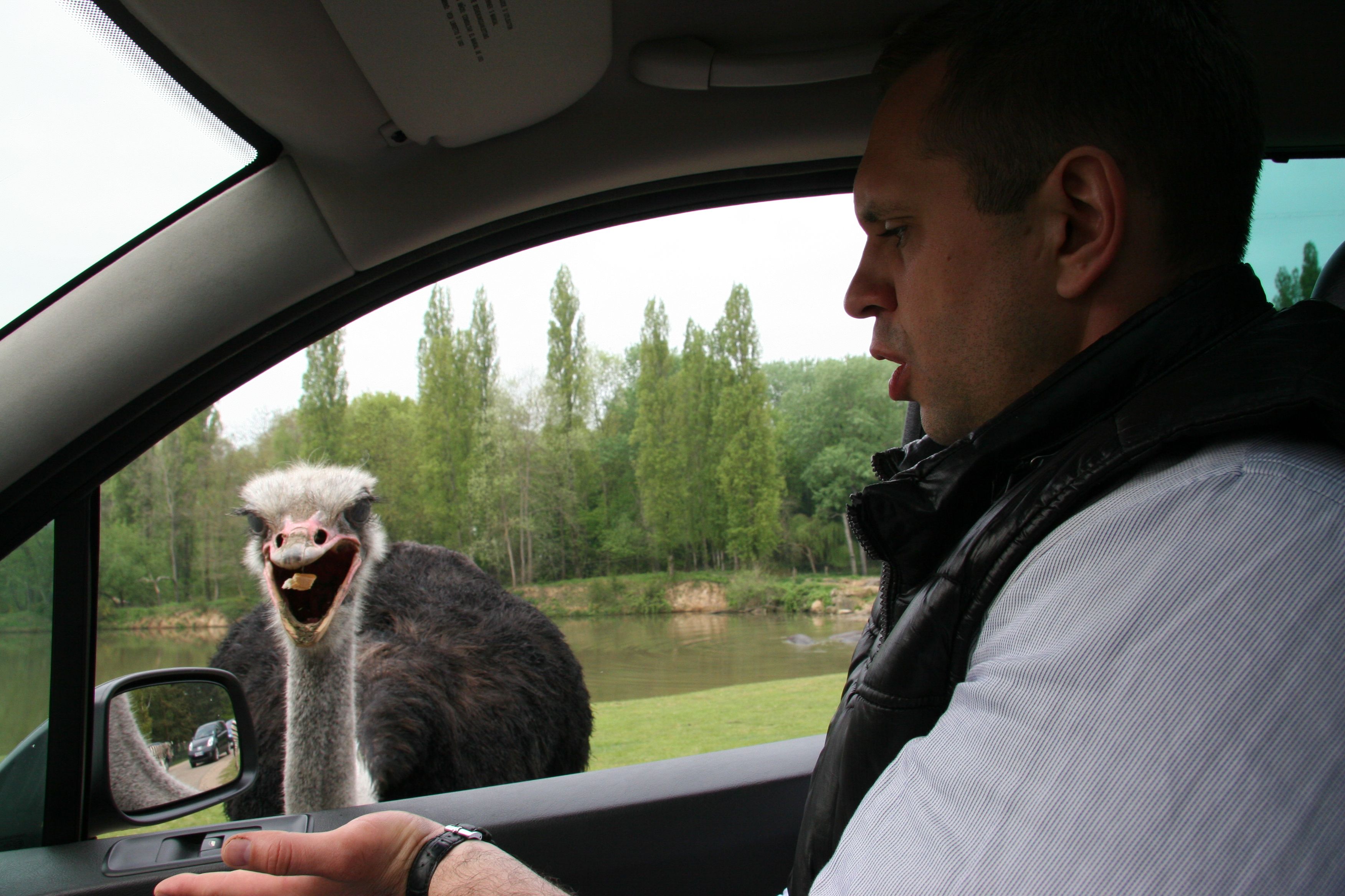 safari park in tuari