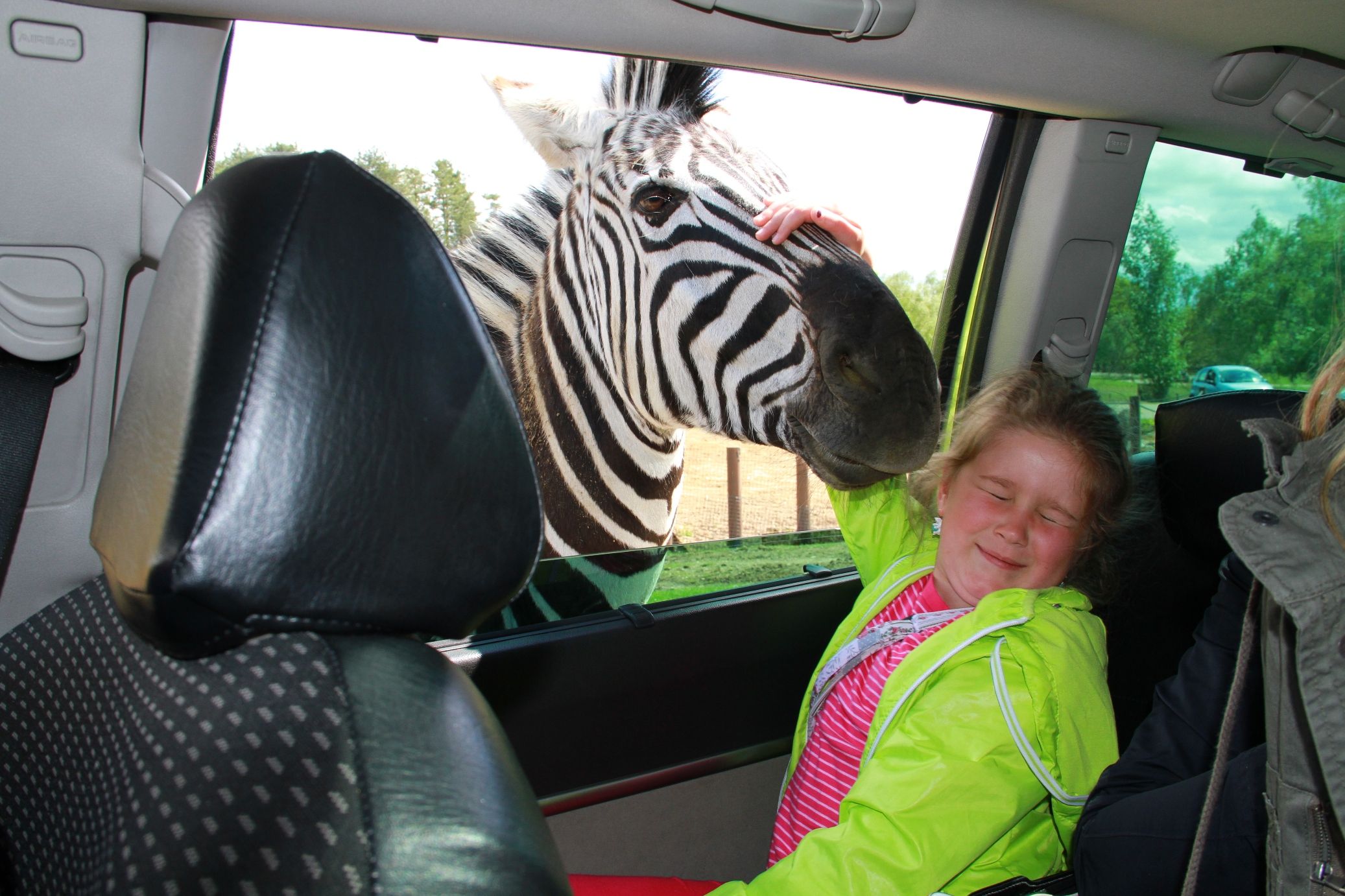 safari park in tuari