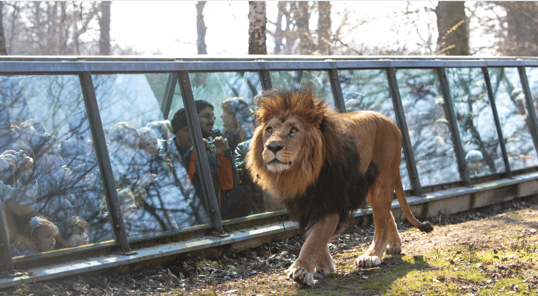 safari park in tuari