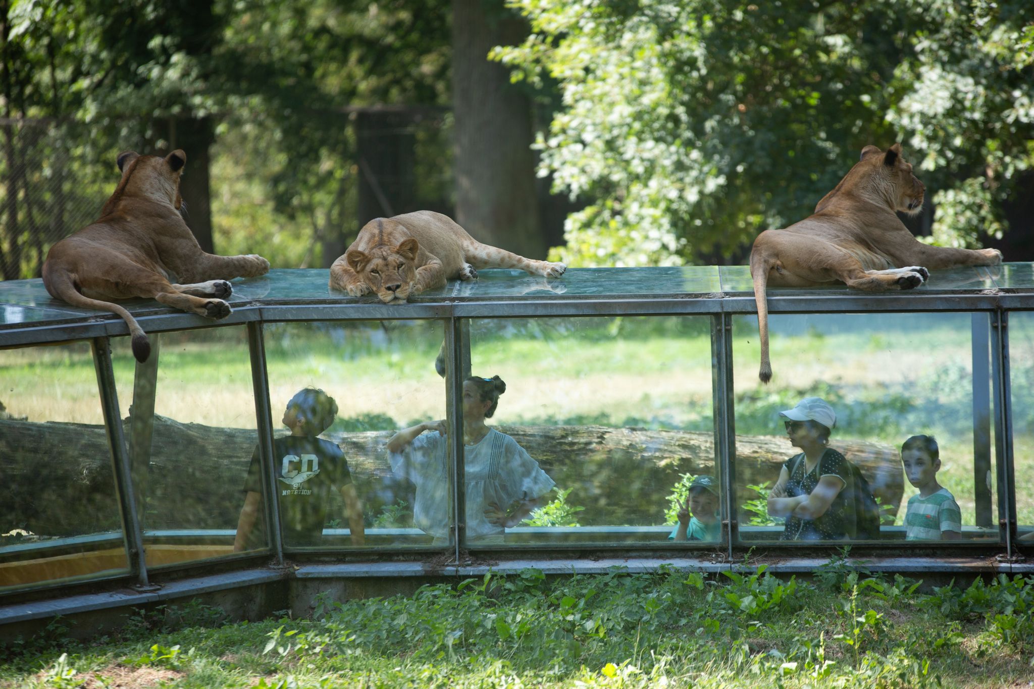 safari park in tuari